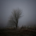 Fog and fences  screen for extension Chrome web store in OffiDocs Chromium