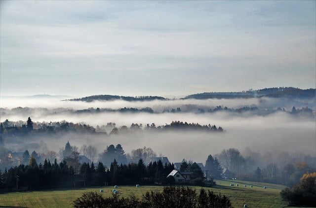 Free download fog dense morning mists haze free picture to be edited with GIMP free online image editor