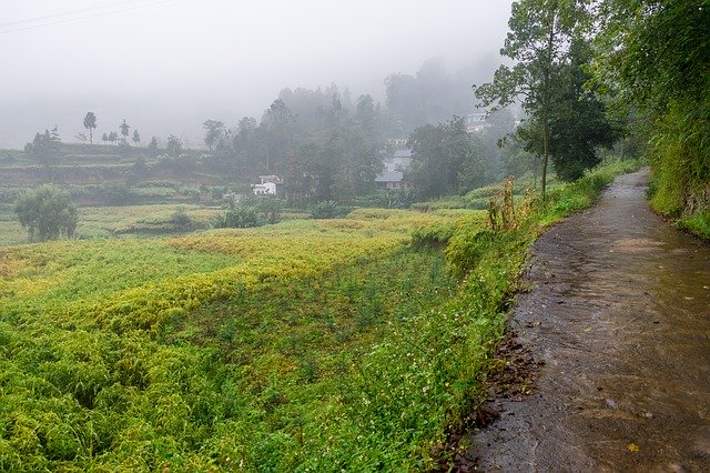 Descărcare gratuită Fog Drizzle Lane - fotografie sau imagini gratuite pentru a fi editate cu editorul de imagini online GIMP