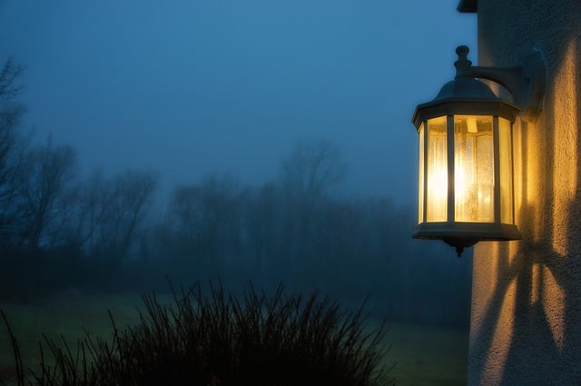 Free download fog forest light wall morning free picture to be edited with GIMP free online image editor