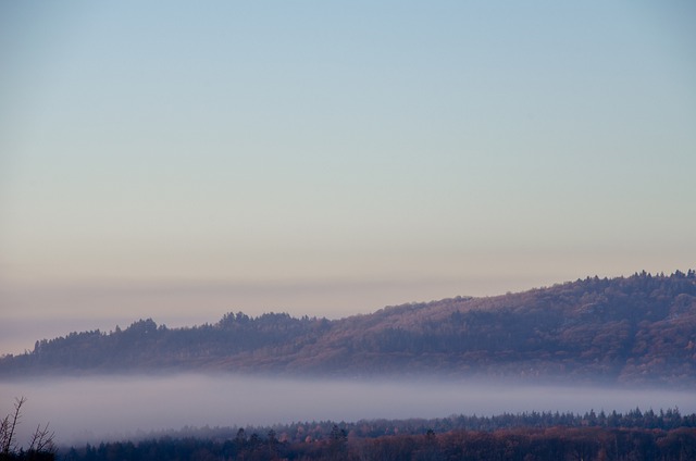 Free download fog forest sunrise landscape free picture to be edited with GIMP free online image editor