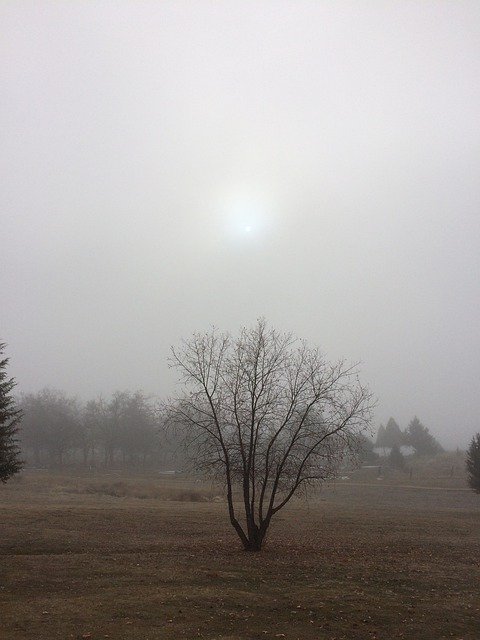 Unduh gratis Foggy Fog Landscape - foto atau gambar gratis untuk diedit dengan editor gambar online GIMP