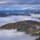 Foggy mountain forest  screen for extension Chrome web store in OffiDocs Chromium