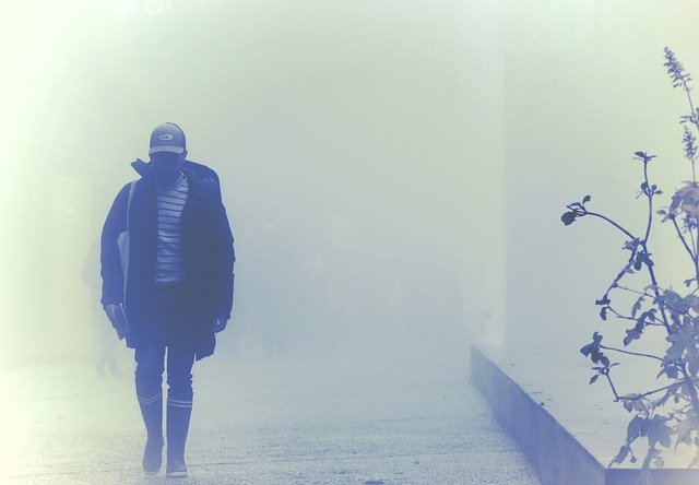 Free download Fog Heavy Mist Autumn -  free free photo or picture to be edited with GIMP online image editor