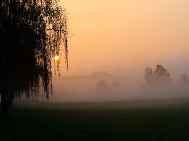 Bezpłatne pobieranie Fog Landscape Scenic - darmowe zdjęcie lub obraz do edycji za pomocą internetowego edytora obrazów GIMP