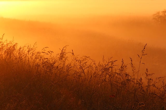 Free download fog landscape sunrise nature dusk free picture to be edited with GIMP free online image editor