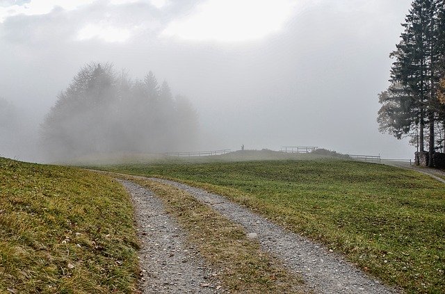 Descărcare gratuită Fog Landscape Trees - fotografie sau imagini gratuite pentru a fi editate cu editorul de imagini online GIMP