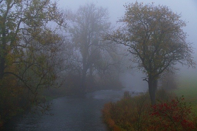 Template Photo Fog Landscape Water -  for OffiDocs