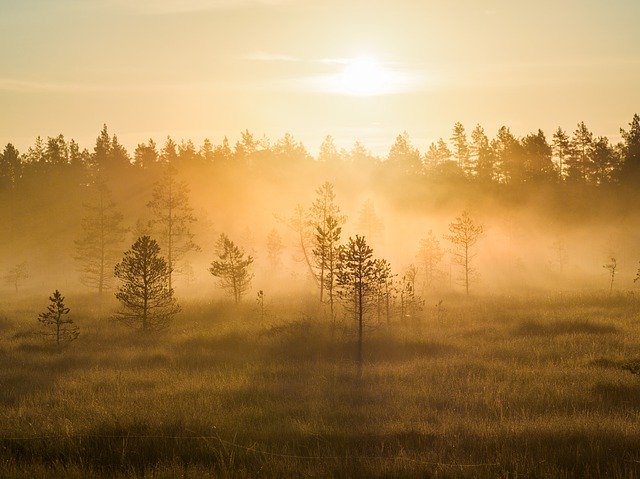 تنزيل Fog Morning Sunrise مجانًا - صورة أو صورة مجانية ليتم تحريرها باستخدام محرر الصور عبر الإنترنت GIMP