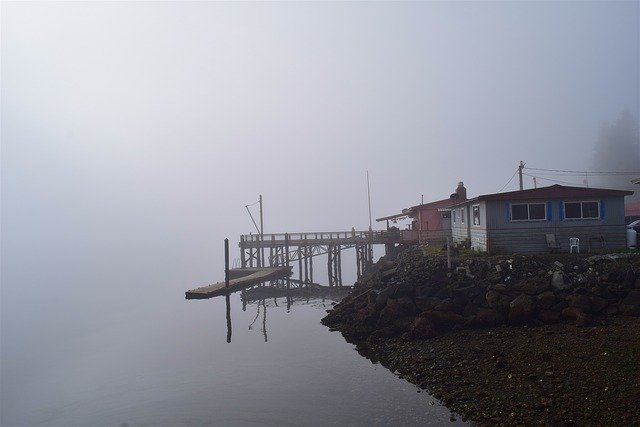 Скачать бесплатно Fog Morning Water - бесплатную фотографию или картинку для редактирования с помощью онлайн-редактора изображений GIMP