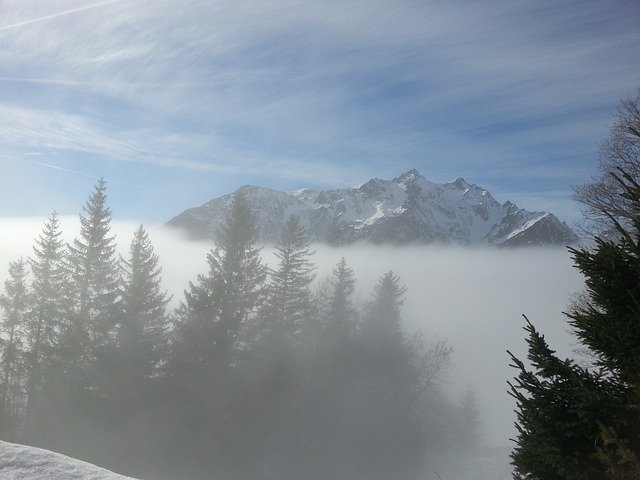 Descarga gratuita Bosque de las montañas de niebla: foto o imagen gratuitas para editar con el editor de imágenes en línea GIMP