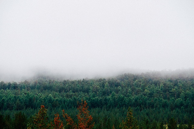 Free download fog mountains forest autumn house free picture to be edited with GIMP free online image editor