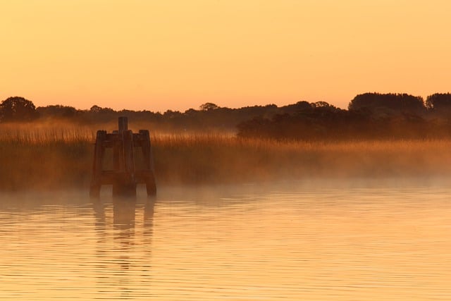 Free download fog nature wilderness landscape free picture to be edited with GIMP free online image editor