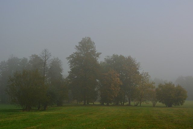 Безкоштовно завантажте Fog Park Landscape — безкоштовну фотографію чи зображення для редагування за допомогою онлайн-редактора зображень GIMP