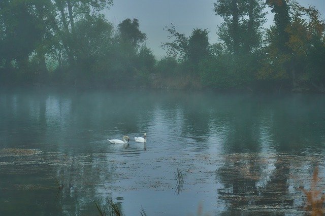 Free download Fog River -  free photo or picture to be edited with GIMP online image editor