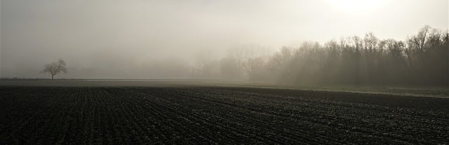 Free download fog sunrise background federal road free picture to be edited with GIMP free online image editor