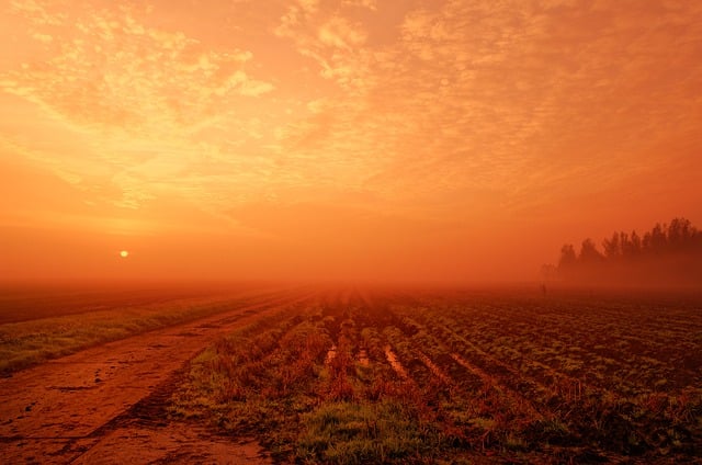 Free download fog sunrise field pasture morning free picture to be edited with GIMP free online image editor