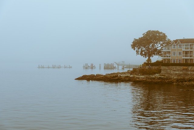 Muat turun percuma Fog Tree House - foto atau gambar percuma untuk diedit dengan editor imej dalam talian GIMP