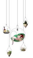 Free download  FOH: Terrarium Dreams free photo or picture to be edited with GIMP online image editor