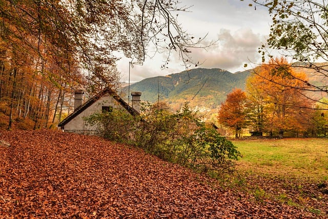 Free download foliage autumn landscape malesco free picture to be edited with GIMP free online image editor