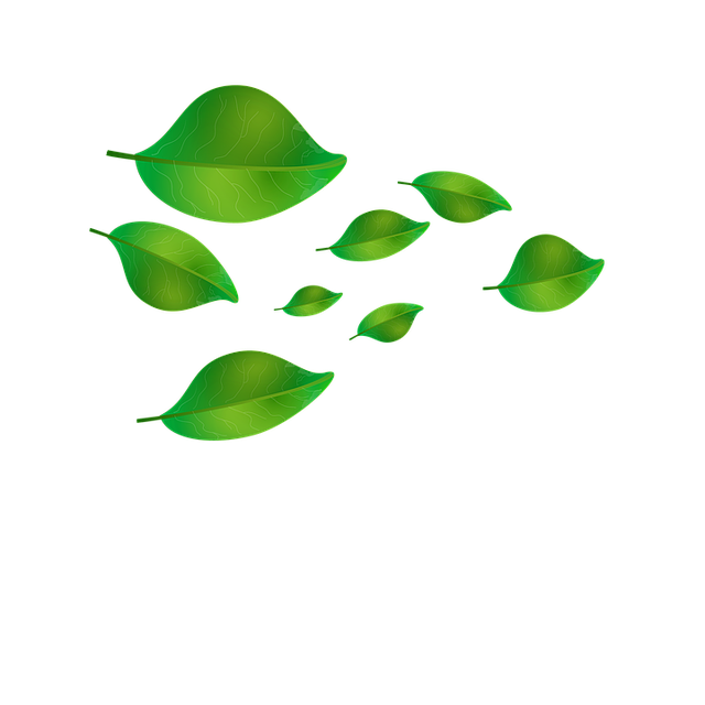 Free download Foliage Graphics Leaf -  free illustration to be edited with GIMP free online image editor