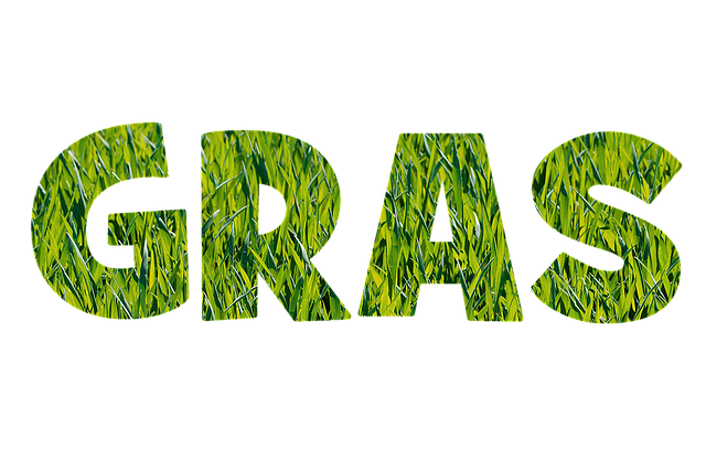 Free download Font Grass Texture -  free illustration to be edited with GIMP free online image editor
