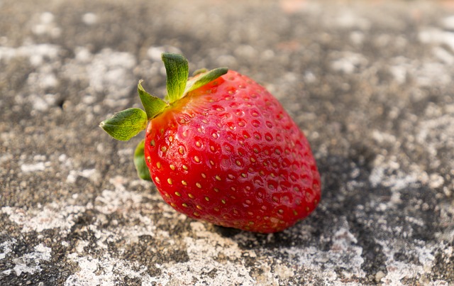 GIMP ücretsiz çevrimiçi resim düzenleyiciyle düzenlenecek ücretsiz yiyecek meyve çilek da lat resmini indirin