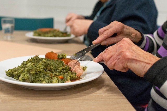 Muat turun percuma Food Meal Kale templat foto percuma untuk diedit dengan editor imej dalam talian GIMP