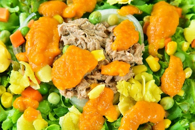 Free download Food Meal Salad Tuna -  free photo or picture to be edited with GIMP online image editor