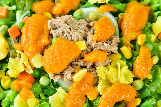 Gratis download Food Meal Salad Tuna - gratis foto of afbeelding om te bewerken met GIMP online afbeeldingseditor