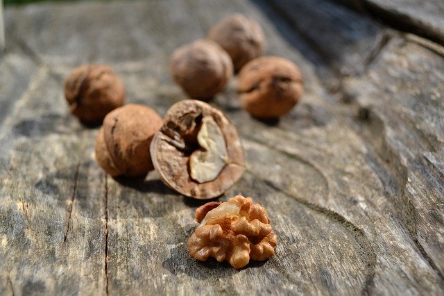 Free download Food Nuts Wood -  free photo or picture to be edited with GIMP online image editor