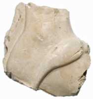 Free download Foot fragment, striding free photo or picture to be edited with GIMP online image editor