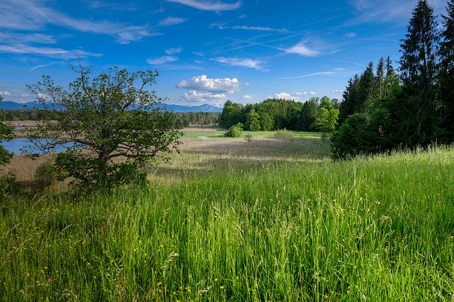 Bezpłatne pobieranie Foothills Of The Grass Meadow - darmowe zdjęcie lub obraz do edycji za pomocą internetowego edytora obrazów GIMP