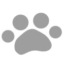 Footmarker  screen for extension Chrome web store in OffiDocs Chromium Footmarker  screen for extension Chrome web store in OffiDocs Chromium