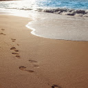 Footprint on the sand  screen for extension Chrome web store in OffiDocs Chromium