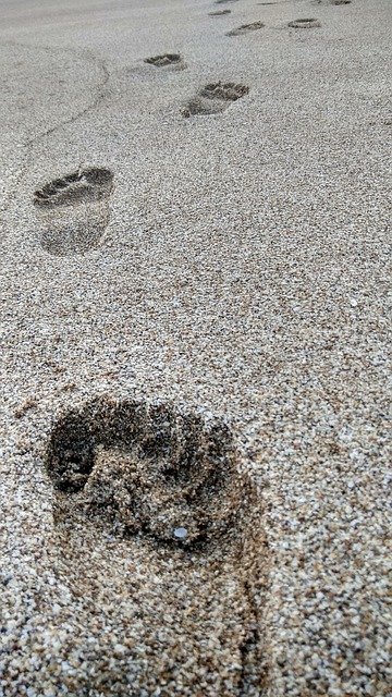 Unduh gratis Footprints Beach Sand - foto atau gambar gratis untuk diedit dengan editor gambar online GIMP