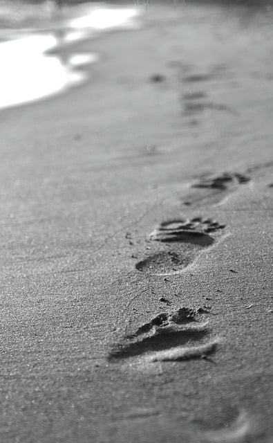 Free download footprints beach sea sand sense free picture to be edited with GIMP free online image editor