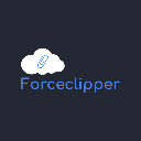 Forceclipper  screen for extension Chrome web store in OffiDocs Chromium