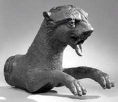 Free download Forepart of a leopard free photo or picture to be edited with GIMP online image editor