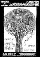 Free download FORESTA 2 free photo or picture to be edited with GIMP online image editor