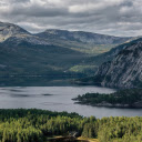 Forest along the lake shore  screen for extension Chrome web store in OffiDocs Chromium
