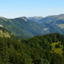 forest and sky  screen for extension Chrome web store in OffiDocs Chromium