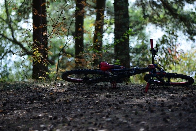 無料ダウンロードForestBikeNature-GIMPオンライン画像エディタで編集できる無料の写真または画像