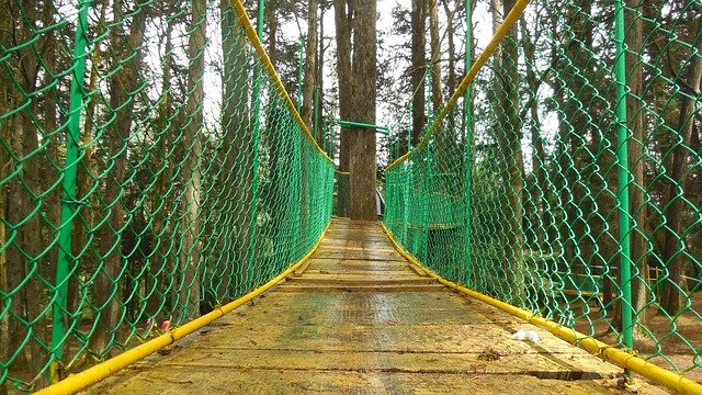 Gratis download Forest Bridge Hanging - gratis foto of afbeelding om te bewerken met GIMP online afbeeldingseditor