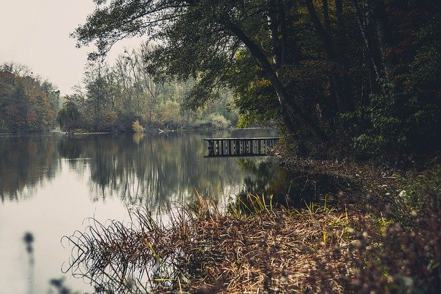 Muat turun percuma Forest Bridge Lake - foto atau gambar percuma untuk diedit dengan editor imej dalam talian GIMP