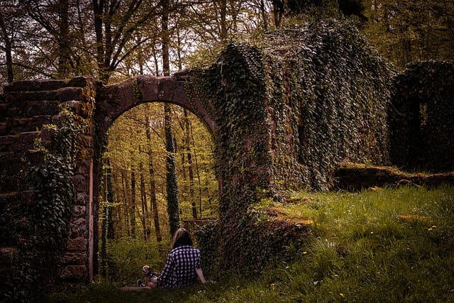 Free download forest castle ruins castle woman free picture to be edited with GIMP free online image editor