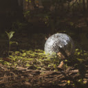 Forest Disco Ball Theme  screen for extension Chrome web store in OffiDocs Chromium