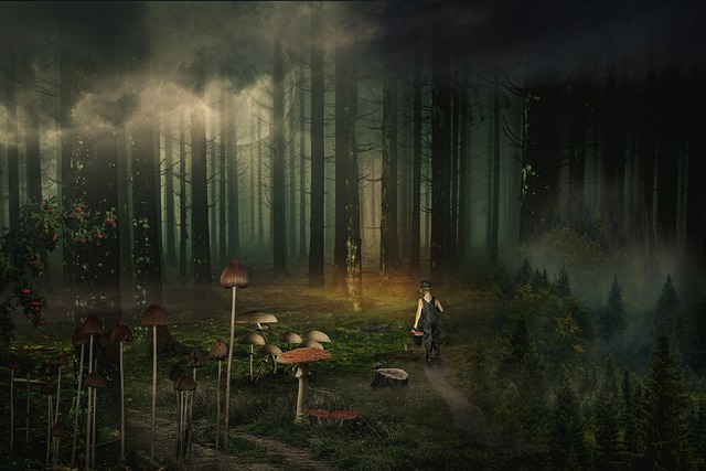 Free download forest fall mushrooms toadstool free picture to be edited with GIMP free online image editor