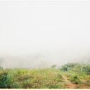 forest fog  screen for extension Chrome web store in OffiDocs Chromium