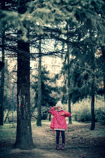 تنزيل Forest Girl Trees مجانًا - صورة أو صورة مجانية ليتم تحريرها باستخدام محرر الصور عبر الإنترنت GIMP
